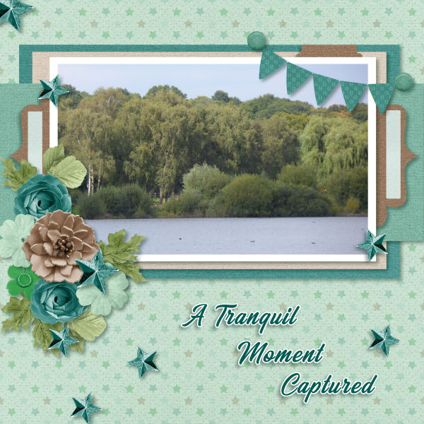 A Tranquil Moment Captured