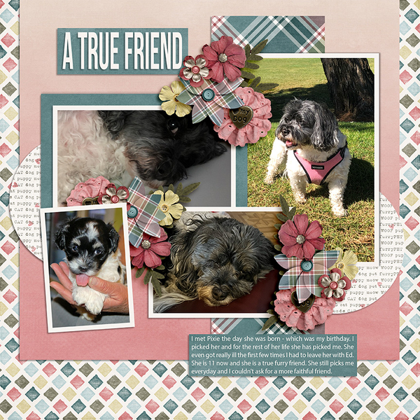 A True Friend