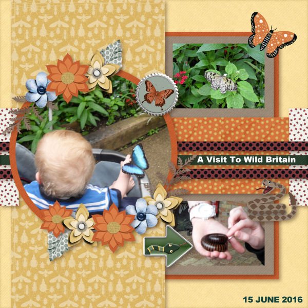 A visit to Wild Britain