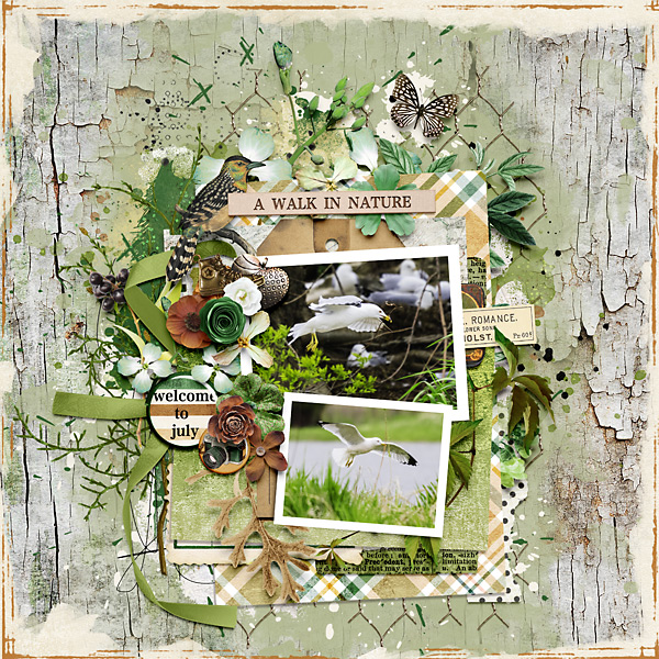 A Walk In Nature