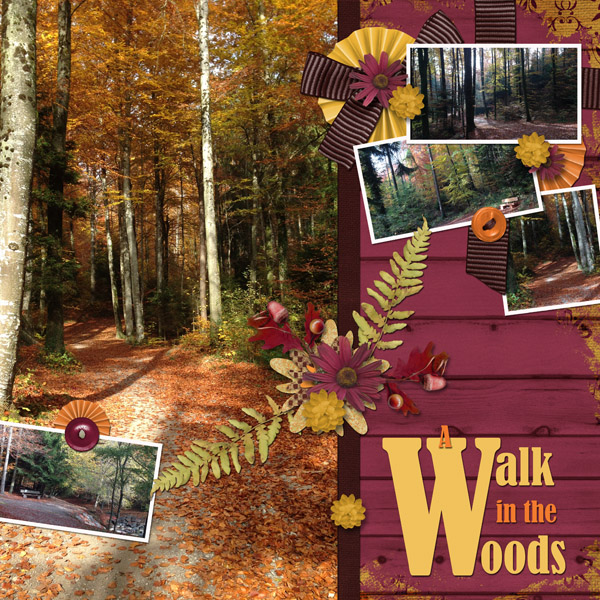 A Walk in the Woods
