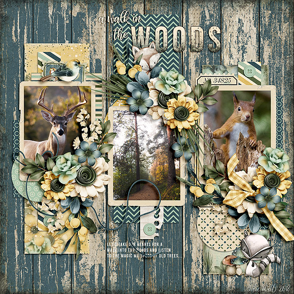a walk in the woods
