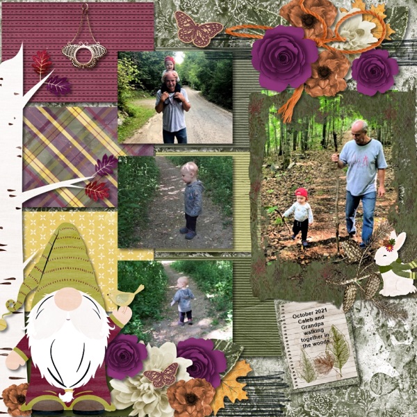 A Walk in the Woods