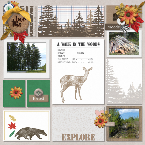 A walk in the woods