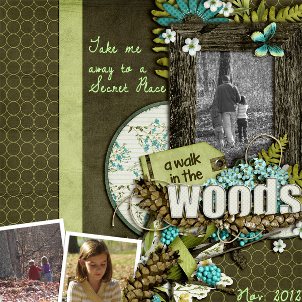 A Walk in the Woods