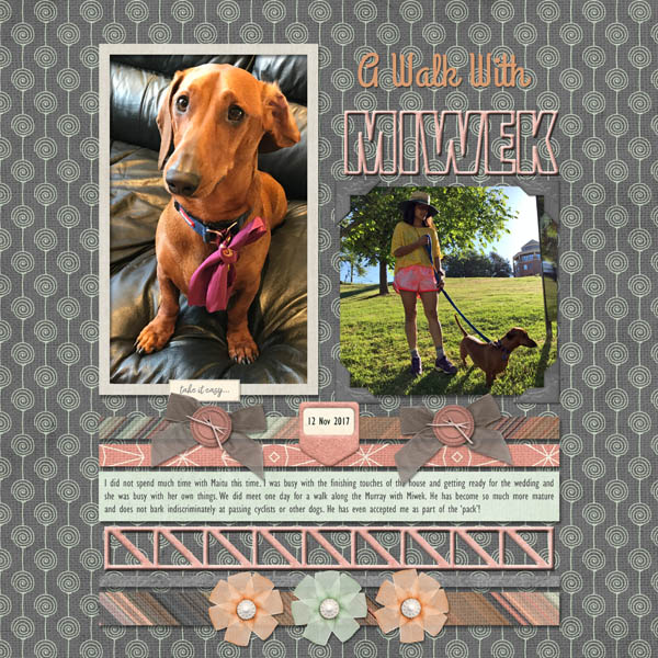 A Walk With Miwek