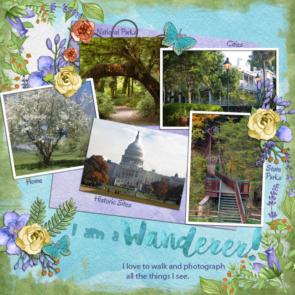 A Wanderer
