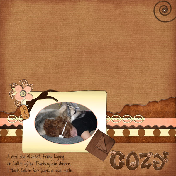 A Warm Cup of Cocoa 1