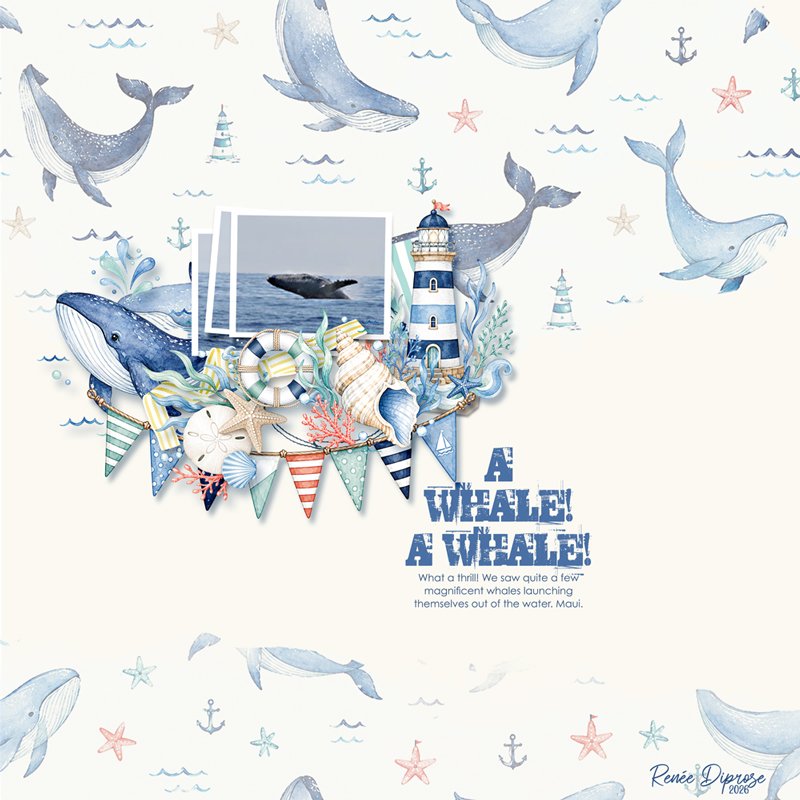 A Whale!