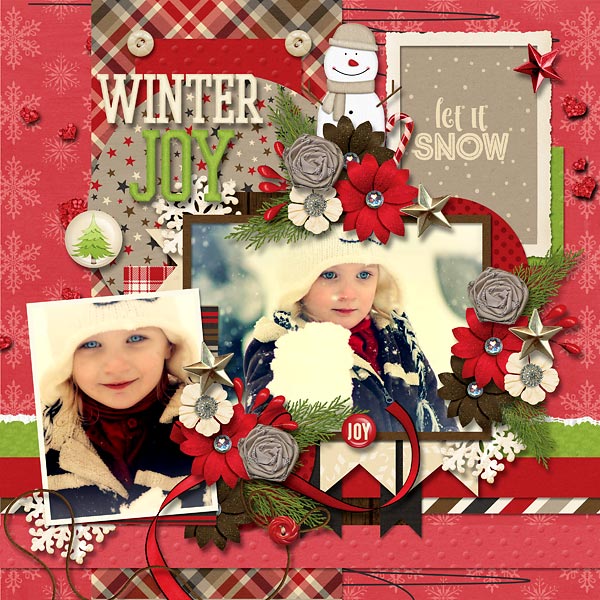 A Winter Joy