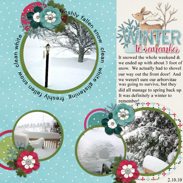 A Winter to Remember