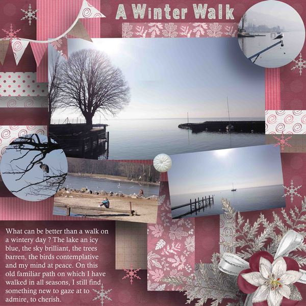 A Winter Walk