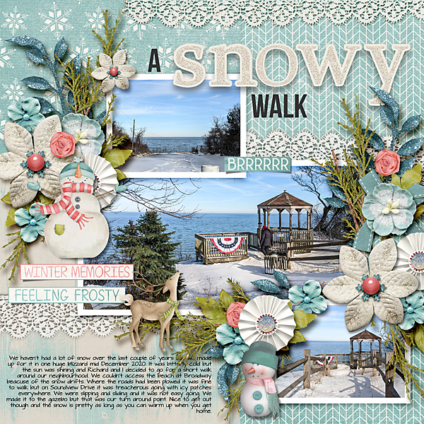 A Winter Walk