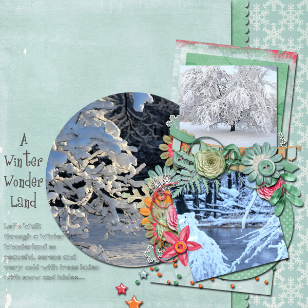 A Winter Wonderland