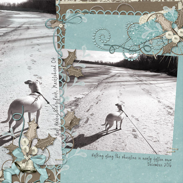 a winter's walk