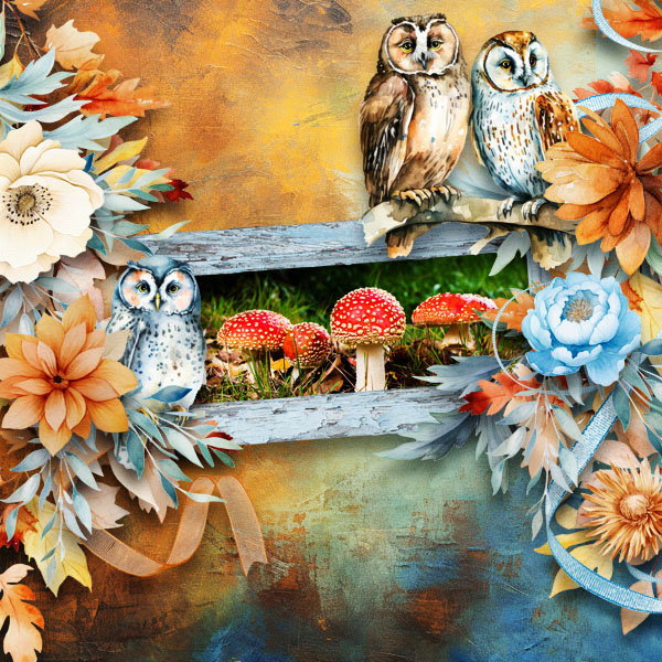 a wise old owl