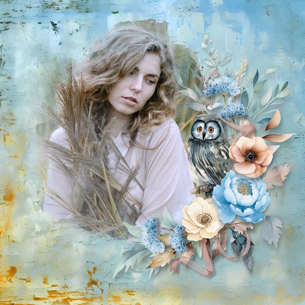 A wise old owl
