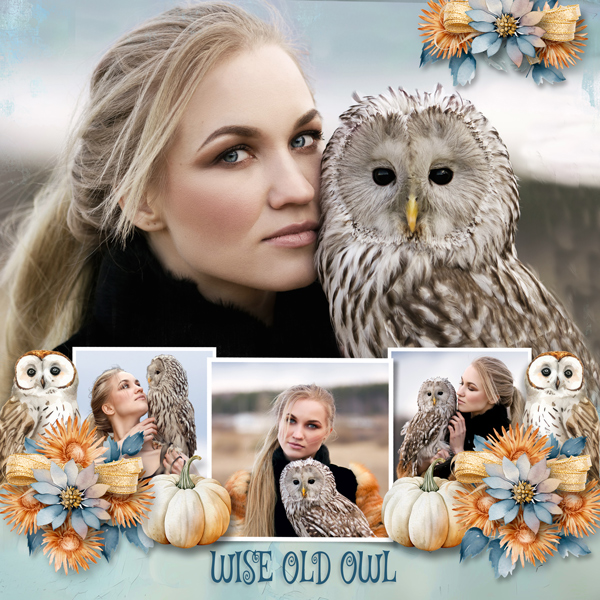 A Wise Old Owl