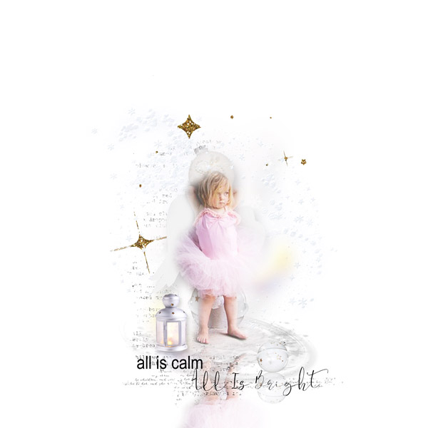 A Wish Before Midnight