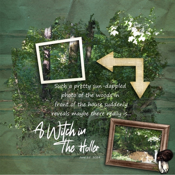 A Witch in The Holler