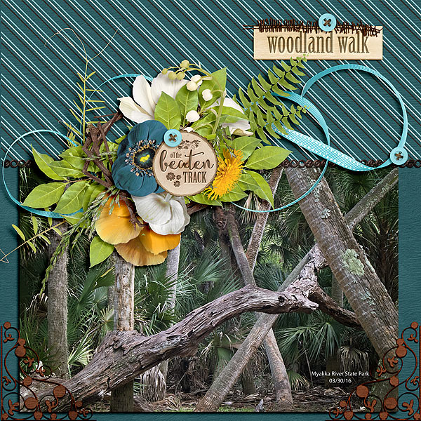 A Woodland Walk
