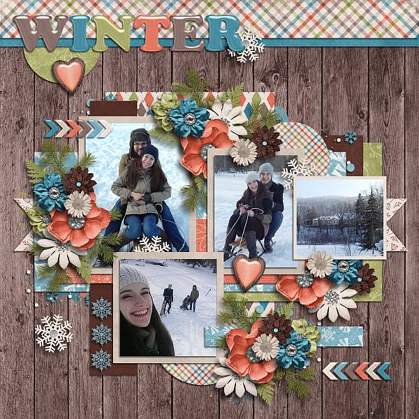 A woodland winter