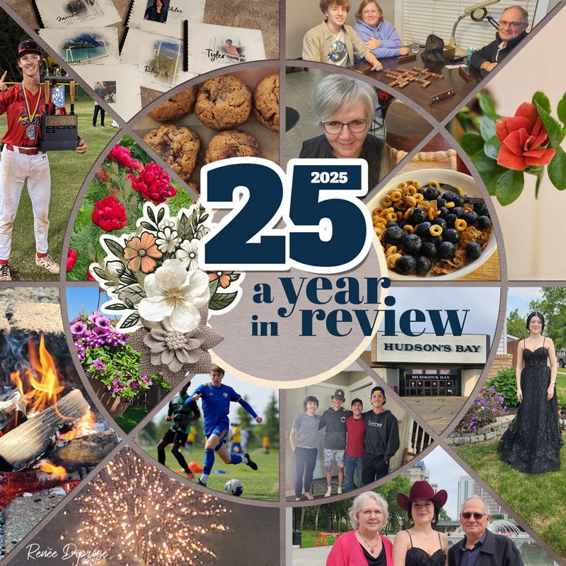 A Year in Review