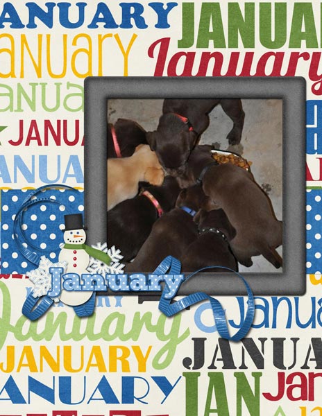 A Year in the Life - January