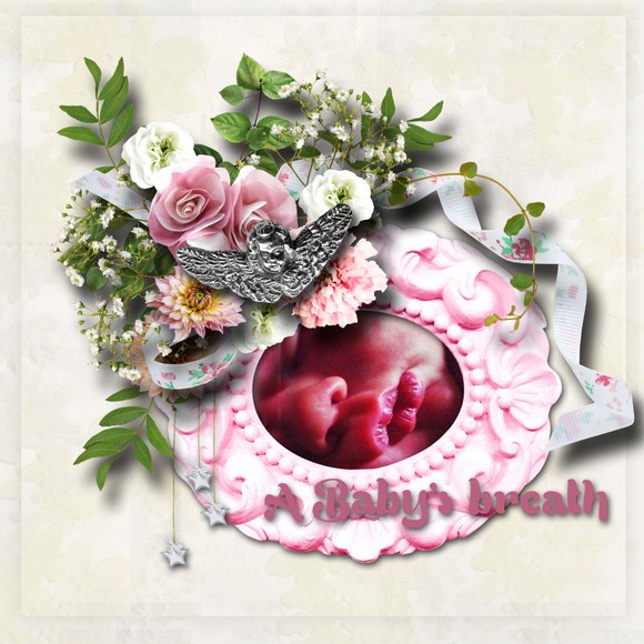 A_Baby_s_breath