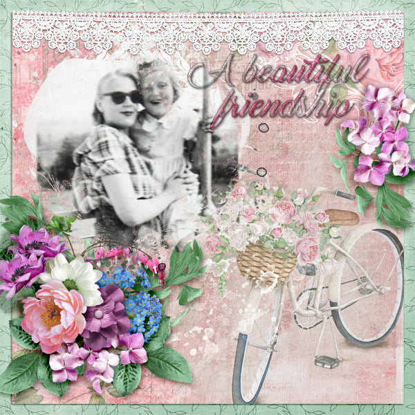 A_beautiful_friendshp