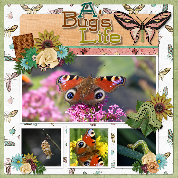 a_bug_s_life