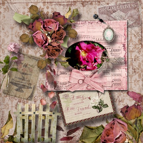 A_single_rose