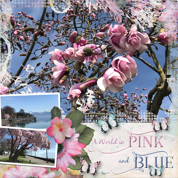 A_World_in_Pink_and_Blue