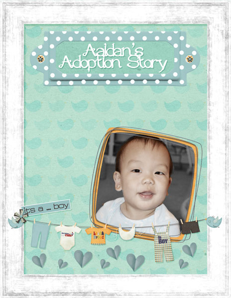 Aaidan'sStoryLifeBookCover