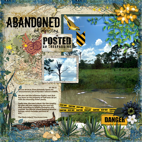 Abandoned to Nature