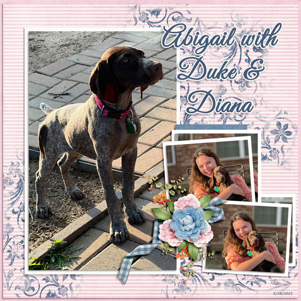 Abigail with our GSP pups - Duke + Diana - 3 months old - 5.24.23