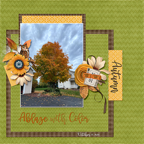 Ablaze with Color