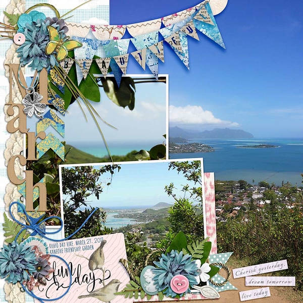 Above the Bay