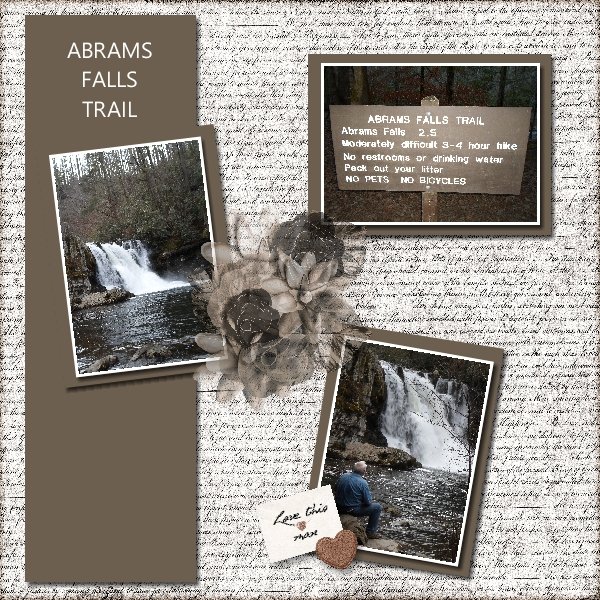 ABRAMS FALLS.jpg