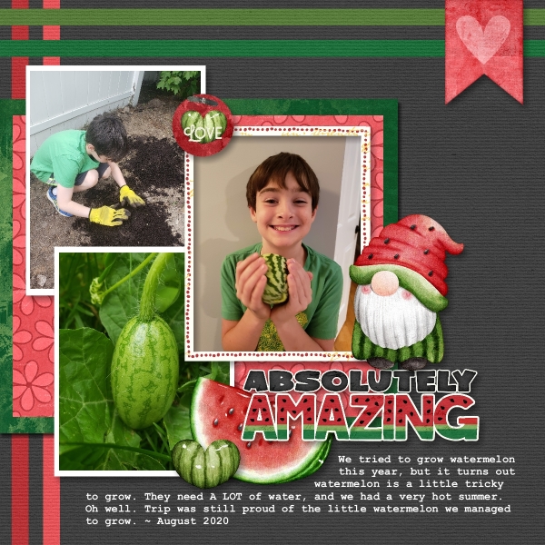 Absolutely Amazing Watermelon 2020