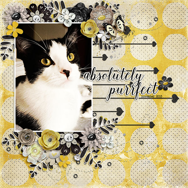 absolutely purrfect