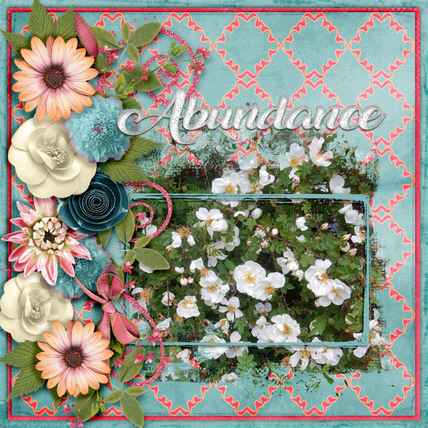 Abundance1