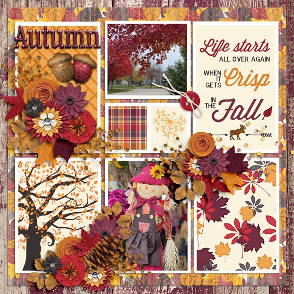 Abundantly-Autumn.jpg