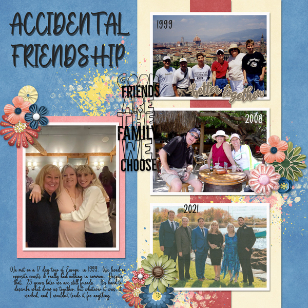 Accidental Friendship