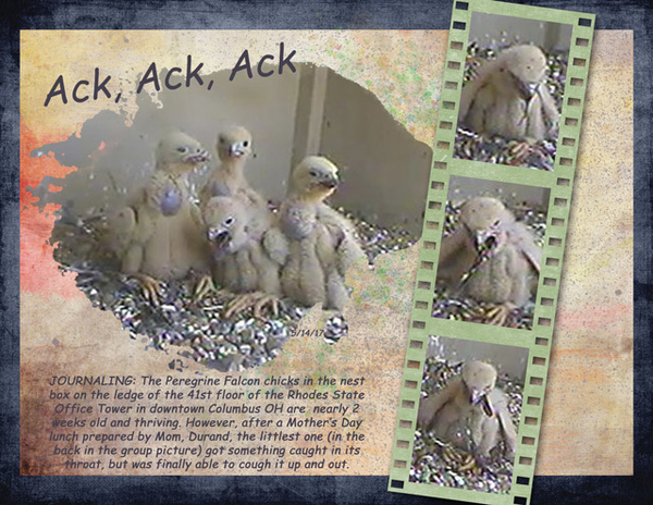 Ack, Ack, Ack
