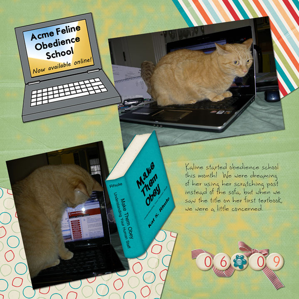 Acme Feline Obedience School