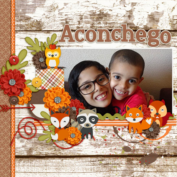 Aconchego