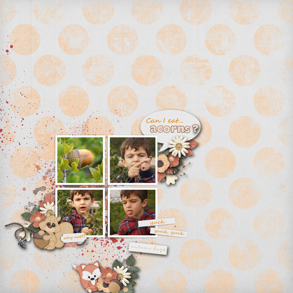 acorns