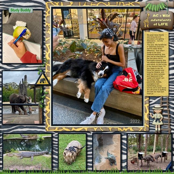 ACs Wild Adventures of Life