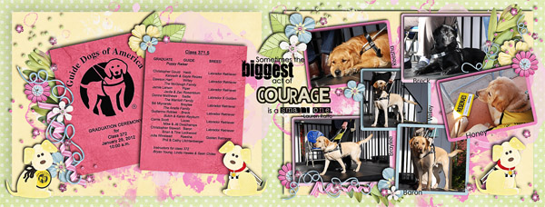 Act of Courage
